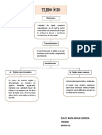 Tejido Óseo-Mapa Coceptual - Dulce Monje