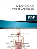 Anatomi Fisiologi Sistem Pencernaan Ppt