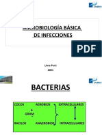 1 1microbiologiainfx2021