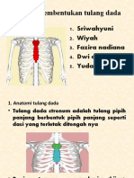 Anatomi Tulang Dada