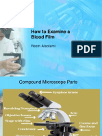 How To Examine A Blood Film
