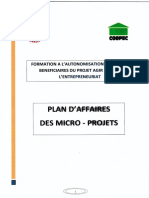 Plan D'affaires Des Micro-Projets