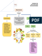 Mapa Conceptual Af