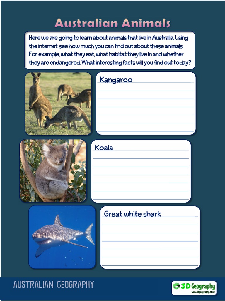 Australian Animals and Habitats Guide | PDF | Social Science | Science ...