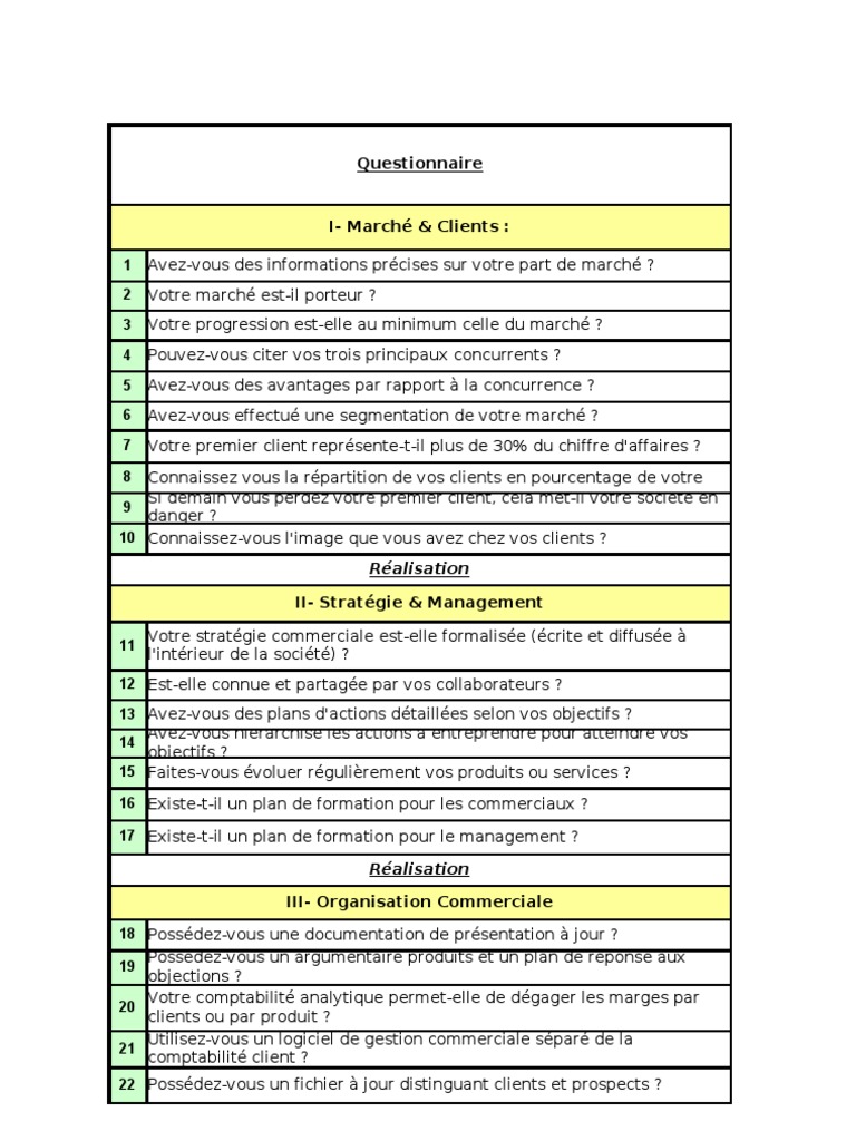 Questionnaire Audit Commercial | PDF | Stratégie marketing | Sodles