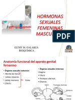 3 Hormonas Sexuales Femeninos y Masculinos
