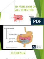Parts and Function of Small Instestine