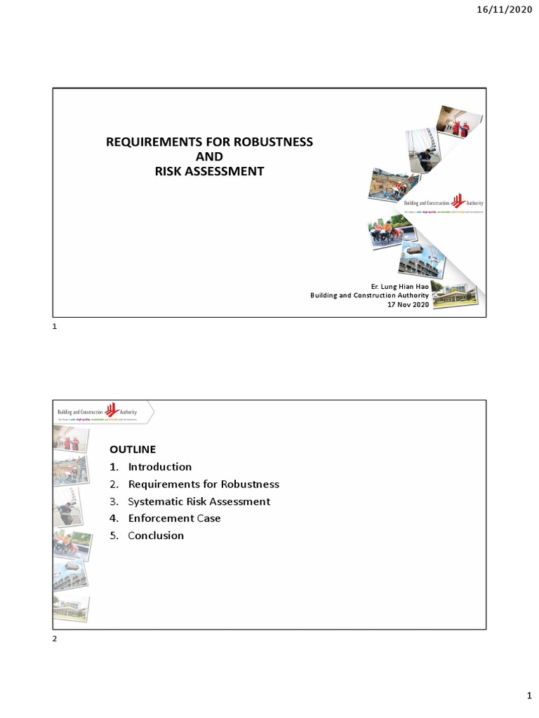 Robust Risk Assessment Requirements | PDF | Risk | Risk Management