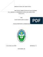 Informe Final - Olman Jose Pacheco Aleman