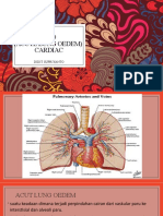 A.L.O (Acute Lung Oedem) Cardiac: Didit Supriyanto