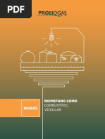 giz_biogas_como_combustivel_digital_simples
