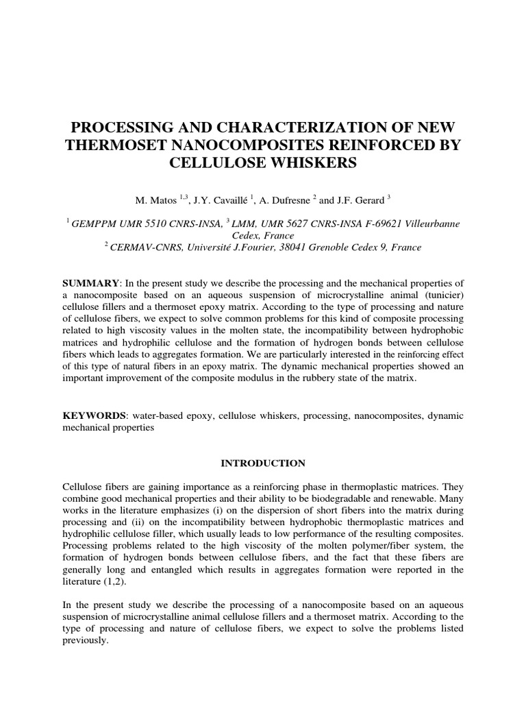 Processing and Characterization of New Thermoset
