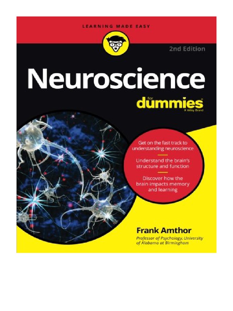 Neuroscience For Dummies, 2nd Edition Frank Amthor PDF