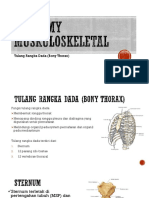 Anatomy Muskuloskeletal bony of thorax