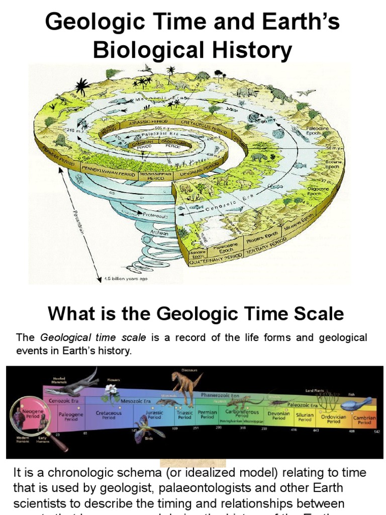 Geologic Time Scale | PDF | Stratigraphy | Geology