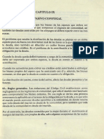 El Contrato de Matrimonio y Los Regimenes Matrimoniales-L.v. Garcia de Peña-Título 2-El Pasivo Conyugal