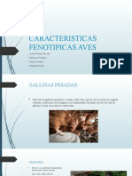 Caracteristicas Fenotipicas Aves 2