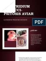 Clostridium psittaci - La psitosis aviar