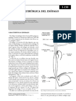 Anatomia Qx Esófago