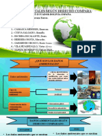 DERECHO AMBIENTAL Con Citas