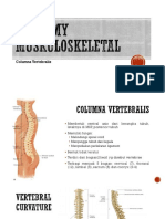 Anatomy Muskuloskeletal Columuna Vertebralis
