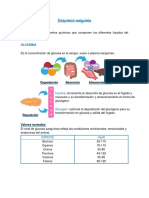 Bioquimica Sanguinea