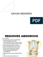 Kavum Abdomen