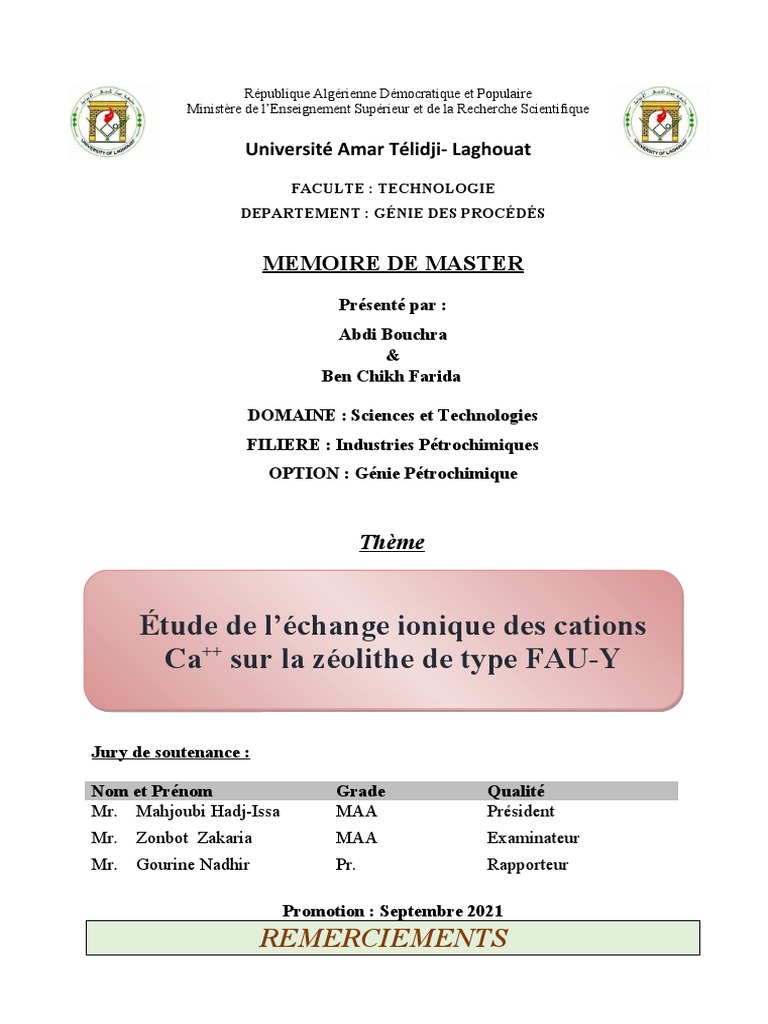 Étude de l'échange ionique Ca++ sur FAU-Y | PDF | Adsorption | Catalyse