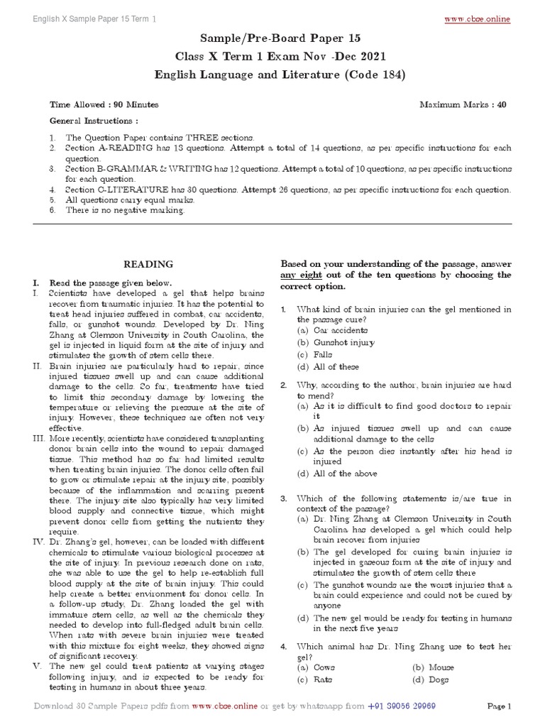 Class X English Sample Paper 15 | PDF | Greenhouse Gas | Brain