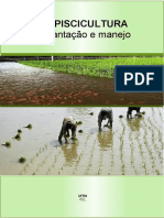 Rizipiscicultura implantação