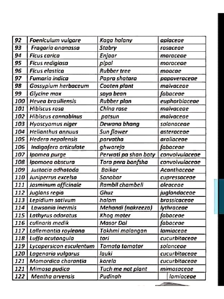 Plant Scientific Names PDF