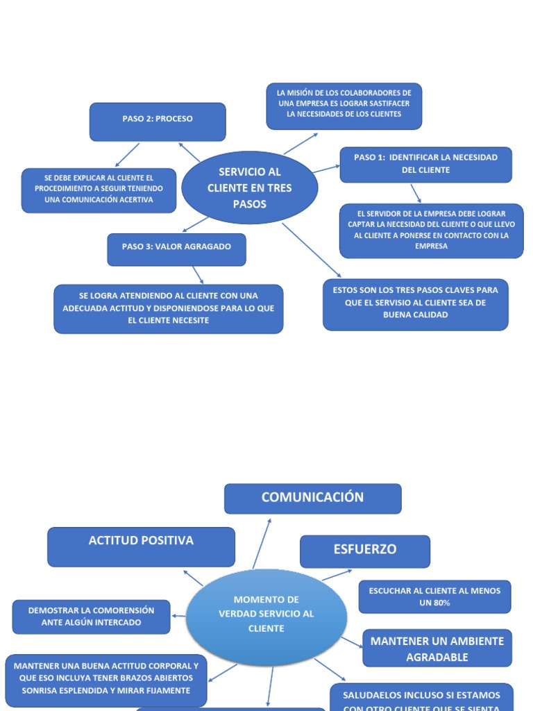 Mapa Conceptual del Servicio al Cliente | PDF