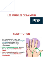 1 - Anatomie 1ère Commissure Avec QCM | PDF | Main | Appareil locomoteur