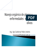 Plagas y enfermedades del olivo