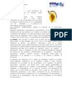 modulo-1-doctrina-bolivarianalecturas-complementariaspdfppp-9-1024