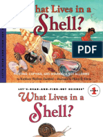 What Lives in A Shell
