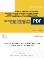 Indicadores para Evaluar Carga Fìsica de Trabajo ST