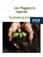 Organic Piggery in Uganda-IMO