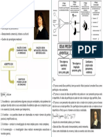 14 - Filosofia Racionalismo