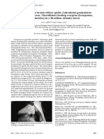 Lira and Costa. 2014. First Record of A Brown Widow Spider Latrodectus Geometricus Koch, 1841 (Araneae, Theridiidae) Feeding Scorpion (Scorpiones, Bothriuridae) in A Brazilian Atlantic Forest