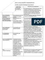 Atvdd.hormônios e Suas Funções Fundamentais