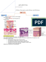 Rangkuman SPH (Baru Integumen)