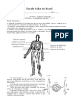 ProjetoCorpoHumano3