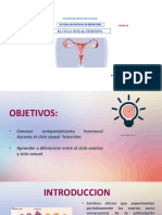 Fisiologia Ciclo Sexual Femenino