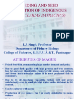 Breeding and Seed Production of Indigenous Magur (Clarias Batrachus)