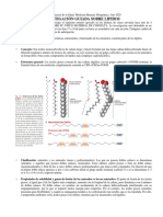 Investigacion Guiada Lipidos