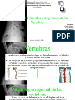 Características generales y regionales de las vertebras