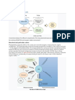 Forms of Carbon