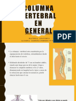 Columna Vertebral