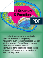 Plant and Animal Cells